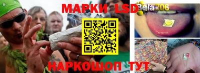 ПСИЛОЦИБИНОВЫЕ ГРИБЫ Пугачёв