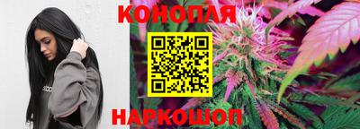 ПСИЛОЦИБИНОВЫЕ ГРИБЫ Пугачёв